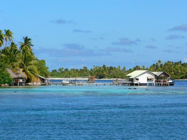 04- Pension et club de plongee de Tetamanu 